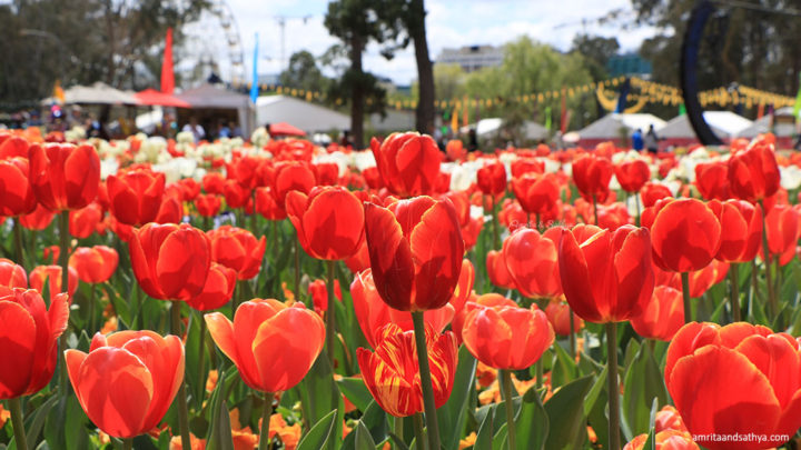 Floriade