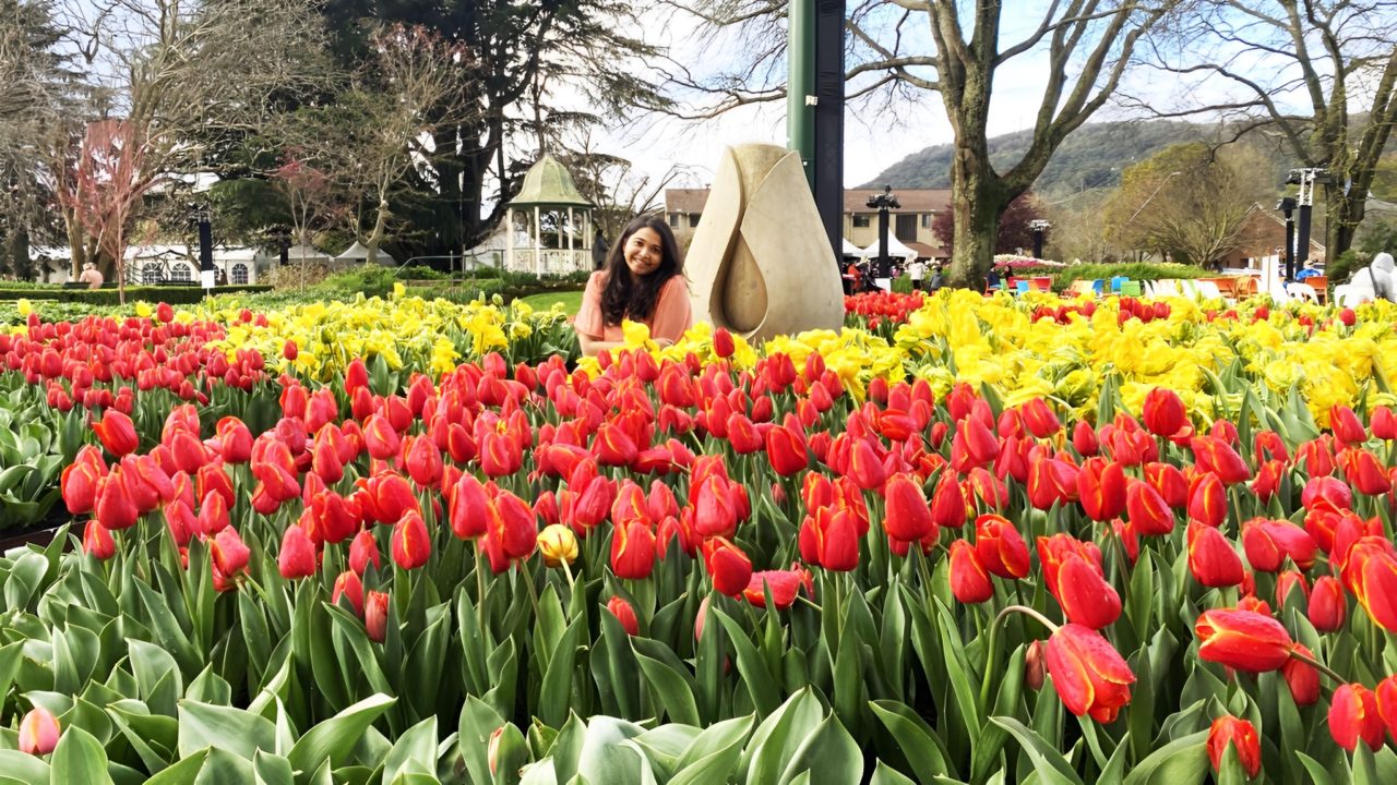 Bowral Tulip Time Festival